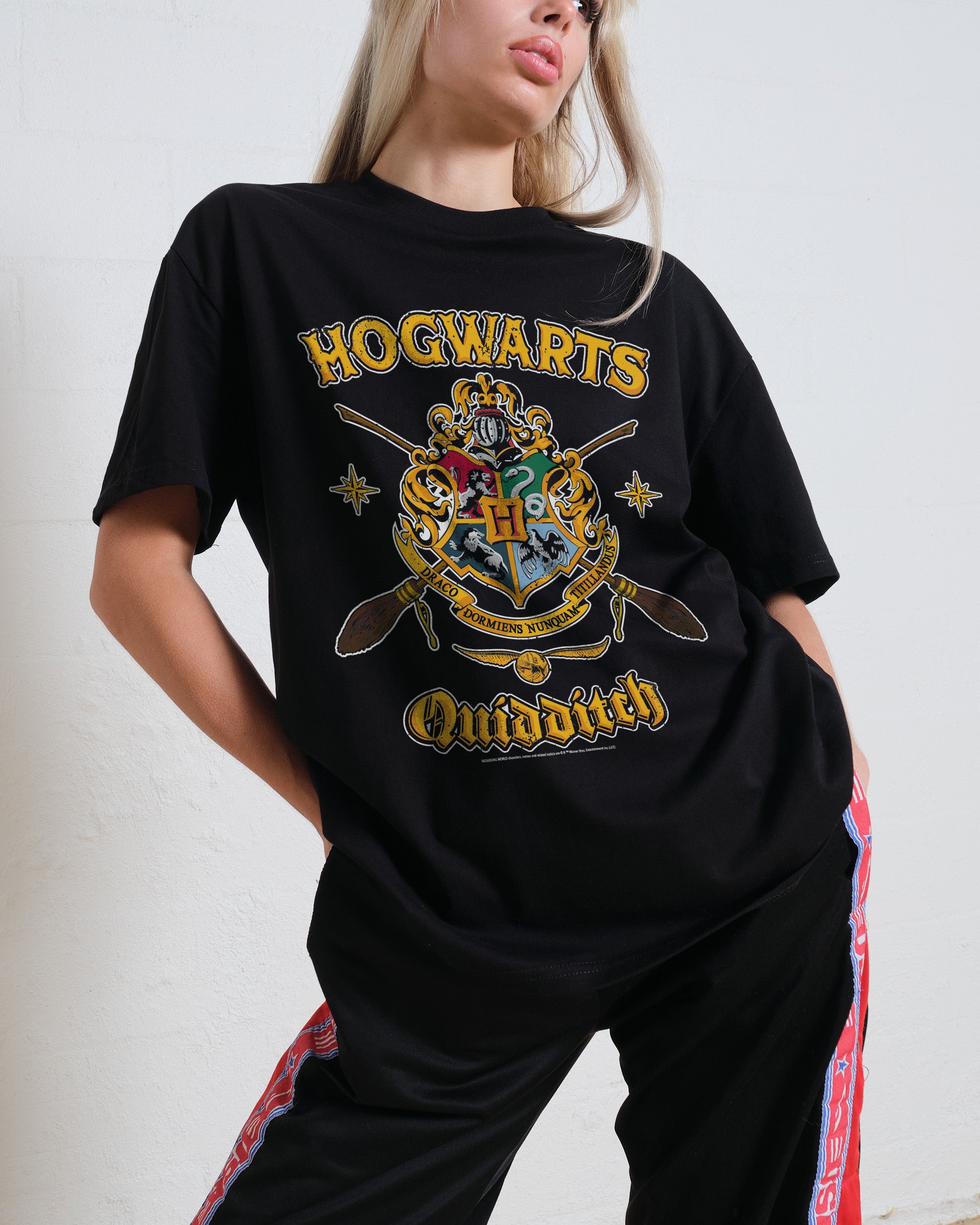 Hogwarts Quidditch Shield T-Shirt Australia Online