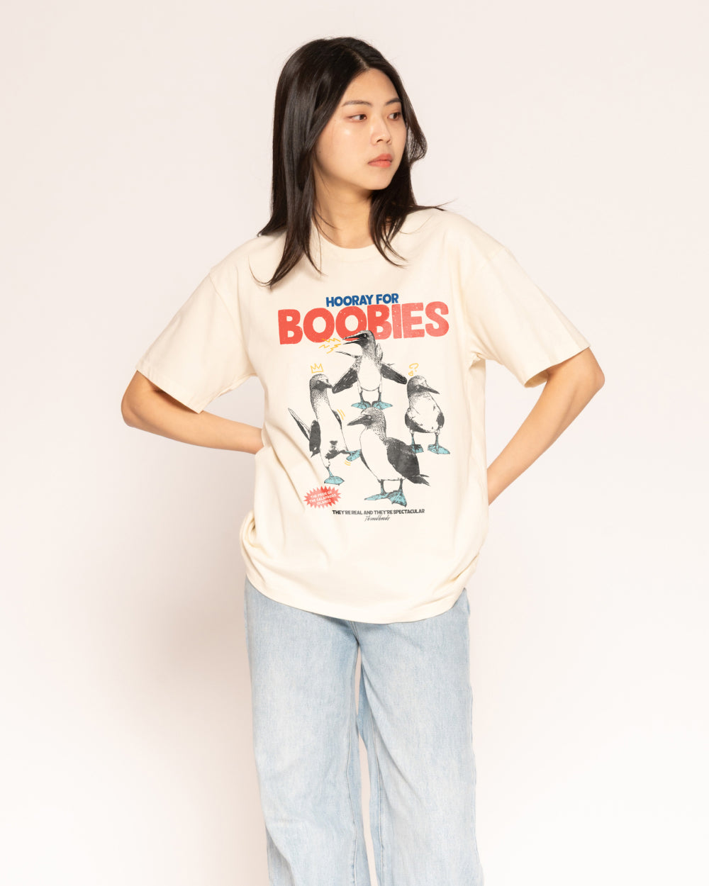 Hooray for Boobies T-Shirt – view 7