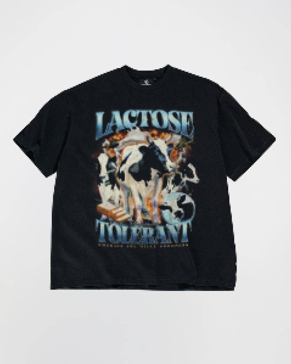 Lactose Tolerant Oversized Tee – view 3