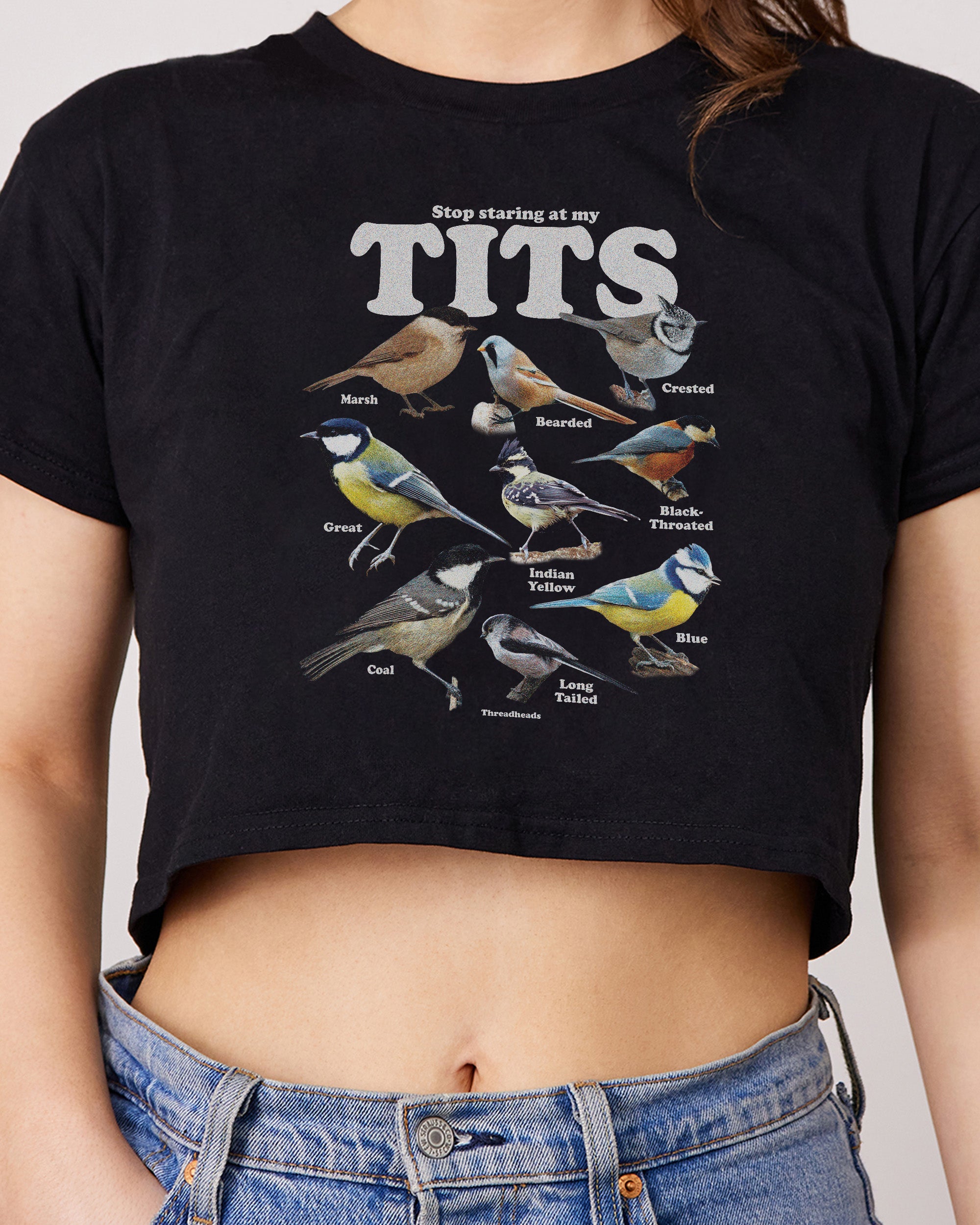Stop Staring At My Tits Crop Tee Threadheads Australia Online